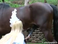 [ Zoo Porn DVD ] Veterinary doctor fucked after checking up